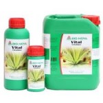 Vital - Imagen 2