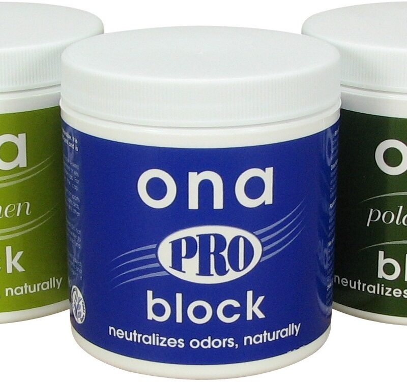 Neutralizador de olores ONA Block 175gr