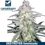 Destroyer - Imagen 2